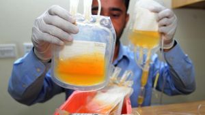 Scandalo del plasma. Commissione d’inchiesta, stallo nel centrodestra. E calano le donazioni