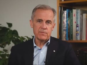 Michael Higgins: Carney continues to blame Trump for problems the Liberals created