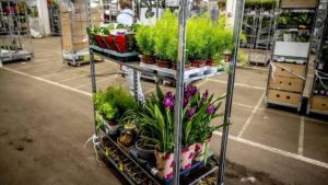 Bloemenhandelaar en medewerkers verdacht van witwassen miljoenen