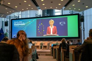 Who is Afraid of Climate Policy?