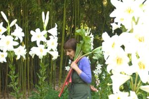 Giardini del Casoncello, magia tutta da scoprire nel nostro Appennino