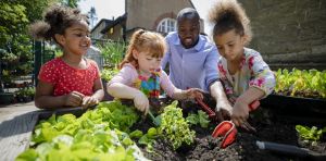 School gardens help students learn science and connect with agriculture – but making them happen isn’t easy