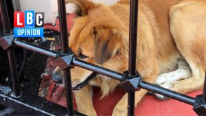 Poisoning dogs in british laboratories is cruel, but not unusual