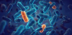 What a ‘post‑antibiotic era’ could mean for modern medicine