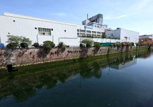 Un futuro para Papresa