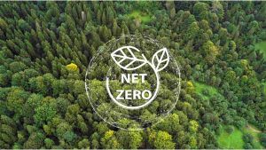 “Net sıfır” iletişimi değişiyor: Daha az slogan, daha çok dayanıklılık