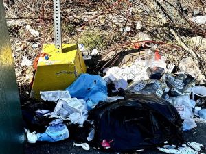 COMMENTARY: Cruise ships are here – And they’re seeing our garbage first
