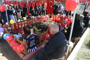 Şiddet nedir? Yaşananlar bireysel şiddet mi kurumsal örgütlü şiddet mi?