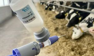 Skrajni rok za cepljenje podaljšali do 30. aprila