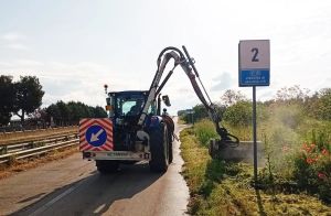 Xylella, al via lo sfalcio dell’erba sulle strade metropolitane