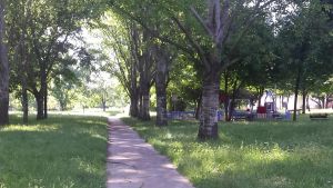 Sfalci ridotti, il Comune: 