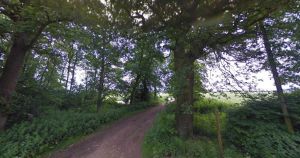 New dog-walking field could open in holiday hotspot