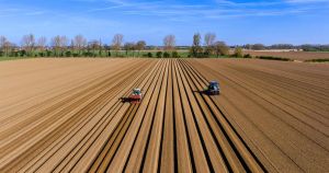 'Significant' west Norfolk arable farm up for sale with £6.3m price tag