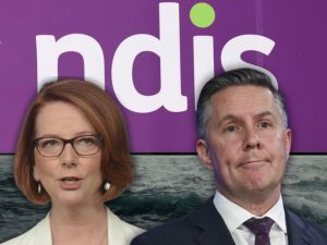 A case of when not if: Shonks and rorters were always coming for NDIS