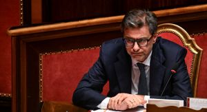 La lunga stagione delle cicale