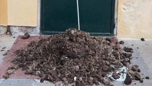 Letame davanti al ristorante dove FdI presentava un libro, Speranzon: «Attacco codardo e intimidatorio»