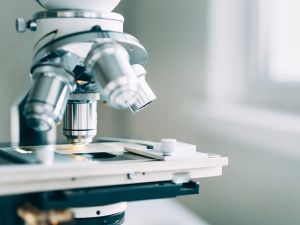 Jack Mintz: End DEI targets in federal research funding