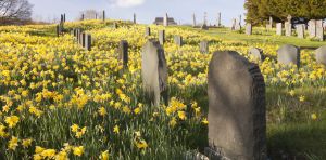 Boom in cremation hides surprising truths about what Americans really want when they die