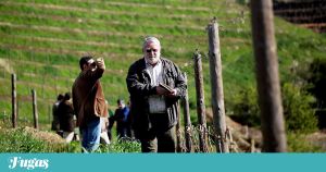 Em memória de David, o aspirante Ramos da Revolução de Abril
