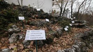 Giardino botanico Carsiana chiuso a Sgonico dopo rinuncia di Rogos, la Regione: «Vogliamo riaprirlo a maggio»