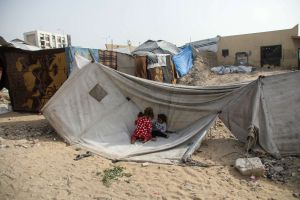 Lacking Proper Sanitation, Gaza’s Tent Camps Are Being Overrun by Rodents