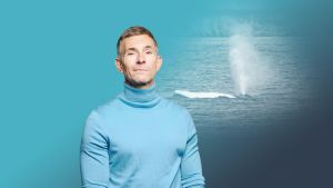 Timmy Blue – wie ein Buckelwal das Land spaltet