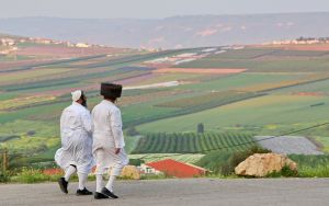 Hasidic sect in northern Israel churns out child brides and covers up sex abuse — report