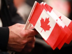 LILLEY: Will Beyoncé, Timothée Chalamet and Donald Trump vote in Canadian elections?