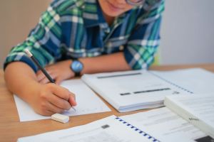 Le fiasco de Francisation Québec