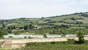 Dibattito sul Pai Po. De pascale: 