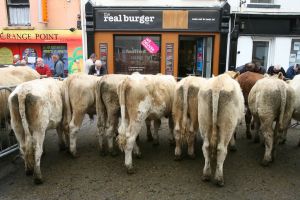 Ireland’s population is told it has never been richer, yet it has never felt poorer