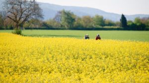 Sonniges Wochenende im Südwesten