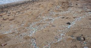 Otkriven novi dio 'slagalice strave': Ne samo da je ima u zraku, nego već prodire i u ljudski mozak