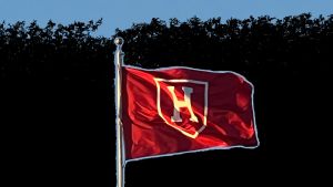 The Harvard that some faculty aren’t seeing