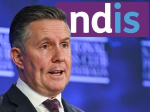 Credlin: Noble NDIS ripped off by shysters and shonks