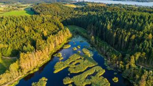 Auf neuen Wegen geht es zu Natur-Juwelen und anderen Schätzen am Bodensee