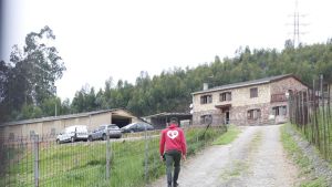 Hablan los dueños del criadero de perros de Gijón clausurado: 