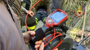 Salvato il cane da caccia Tigro, vigili del fuoco al lavoro con l’escavatore: era a 5 metri di profondità