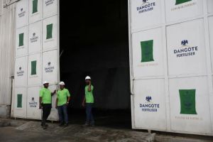 African governments need to take urgent action on fertiliser shortages