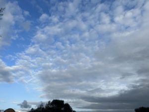 Closcadelletra (DVII): Paraules esfilagassades