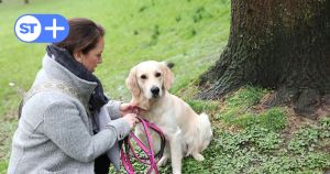 Zur Leinenpflicht: Regeln sind im Interesse von Mensch und Tier