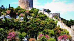 Doğanın bahar müjdesi