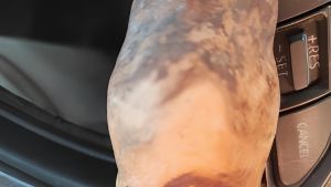 Strano oggetto ritrovato fra i campi