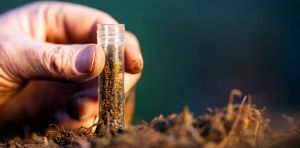 Soil monitoring: what the new EU‑wide ‘ground rules’ have in store for Europe