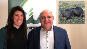 Sale di livello la lotta alla nutria, la notte con carabina e infrarossi. Sos nelle risaie: svuotano l’acqua