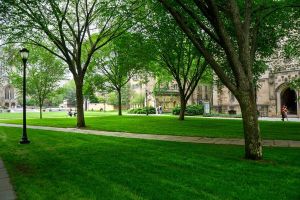 Yale Is the Least of US Higher Education’s Problems