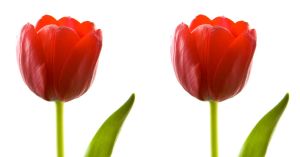 Social Support Helps Mental Health If It Matches Our Needs