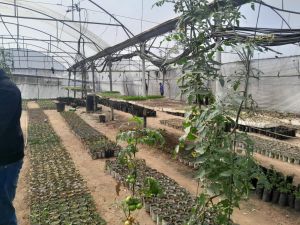 Palestinians in Gaza Want to Rebuild Food Systems. Israel Isn’t Letting Them.