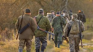 Riparte la caccia alle volpi: 