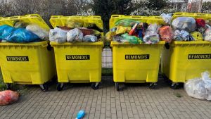 Müllchaos in Villingen: Überquellende Tonnen, bestialischer Gestank und ratlose Anwohner